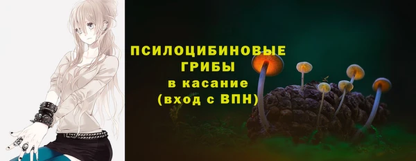 ПСИЛОЦИБИНОВЫЕ ГРИБЫ Абинск