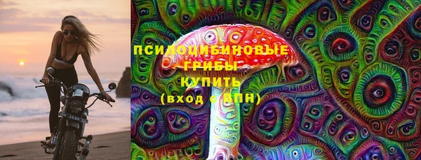 ПСИЛОЦИБИНОВЫЕ ГРИБЫ Абинск