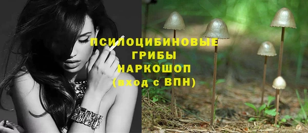 ПСИЛОЦИБИНОВЫЕ ГРИБЫ Абинск