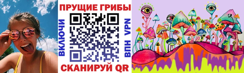 Галлюциногенные грибы ЛСД  Барыш 